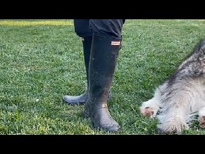 Testbericht zu den Original Tall Rain Boot von Hunter für Damen – 3 Jahre fast täglicher Gebrauch!
