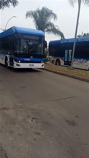 bus 58 🥰🥰🥰🥰🥰