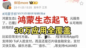 华为Mate80系列9030 Pro性能猛增42%，鸿蒙6.0+30万应用可实现“环球畅游”！_哔哩哔哩_bilibili