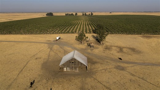 Billionaire backers of new California city seek voter approval after stealthily snapping up farmland
