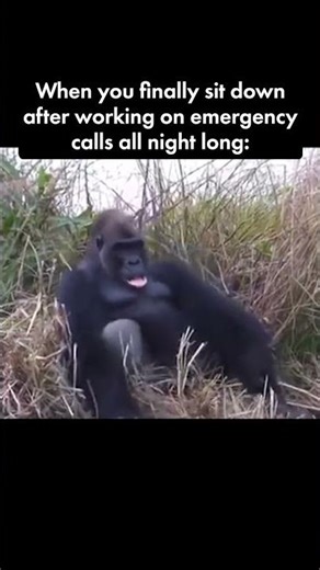 Best sleep you'll have in a long time 😴 #work #lockboss #locksmith #funny #meme