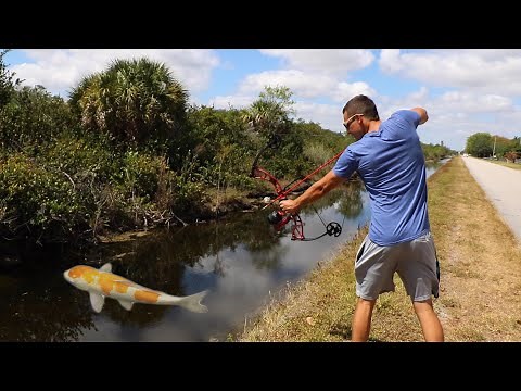 Bow-Fishing GIANT SILVER Expensive Fish TO Feed My Pond Monsters!!