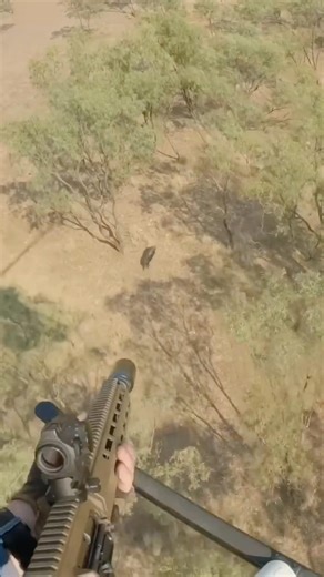 Epic boar tumbled on the flats #aerialshooting #conservation #hunting