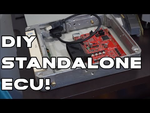 Speeduino Ocelot Build