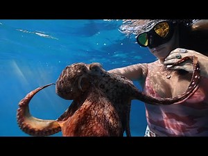 Our octopus friend LOVES britt (shangerdanger shorts compilation)