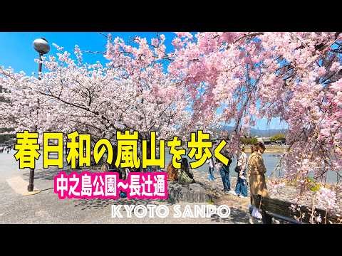 2026/4/3 (金) 🌸世界中から集まる絶景🌸 桜ピークの絶景嵐山 世界中から集まる春のリアルVlog 大混雑の中之島公園〜長辻通 /京都Vlog/春の京都/Kyoto walk [京都4K]