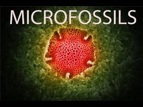What are 'Microfossils' and why do we care?