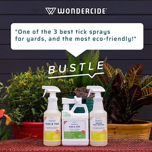 Don't take our word for it... | Wondercide