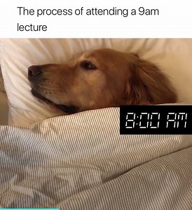 3.8M views · 100K reactions | This is so accurate  | The Tab | Facebook