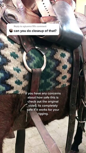 Exploring Buckaroo Horsemanhip Techniques