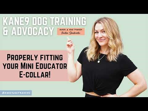 Properly Fitting Your Mini Educator E-Collar! | KANE9