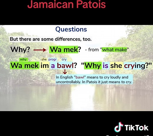 Understanding Jamaican Patois: A Creole Language Guide