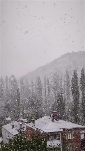 Coni (@coni_cooon)’s videos with orijinal ses - Coni