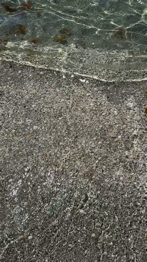 The secret's out!😏 Don Pedro Island State Park is calling adventurers with crystal-clear water, soft sand, and the serene beauty of a beach only reachable by kayak or paddleboard. 🌊🚣 💬 Have you explored this hidden gem yet? 📸: SUP Englewood #BestSideOutside #EnglewoodBeach #EnglewoodFL | Punta Gorda/Englewood Beach