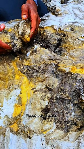 wow!! amazing, yellow gold mud, contains hundreds to millions of gold grains #goldnugget #goldadventure #goldhunter #goldprospecting #goldprospector #puregold #goldlumpuremas | Gustian Gus Tian