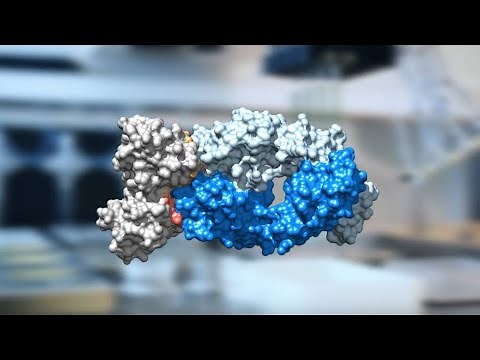 Epitope Mapping - Instrumental in therapeutic antibody development