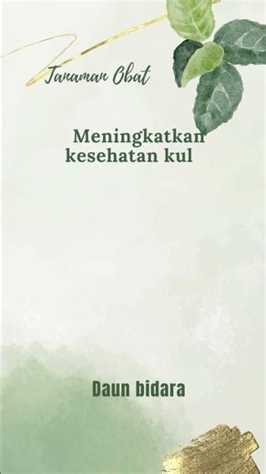 Tanaman obat tradisional Indonesia dan manfaatnya untuk kesehatan