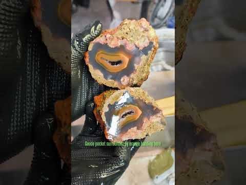 Incredible Condor agates cut open!