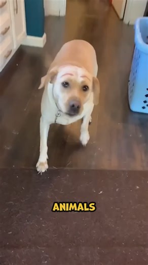 32K views · 530 reactions | Gen X moms know how to handle a Gen Z household, but it’s challenging! | Kelly Manno | Facebook