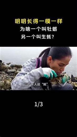 明明长得一模一样，为啥一个叫牡蛎，另一个叫生蚝？ #生蚝#牡蛎#科普 美食 美食知识 美食文化