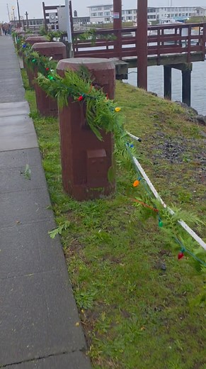 🎄⚓ Huge shoutout to the Grays Harbor College baseball and softball teams for helping us deck the docks this year! These awesome students showed up with big smiles and even bigger holiday spirit—and with their help, the whole marina was decorated in about an hour! 🌟👏 Thank you for bringing that community cheer, Ocosta! We appreciate you! 💙✨ #westportgraylandchamberofcommerce #visitwestport #discovergraysharbor #visitgraysharbor #chambermembers #HolidayHappenings #LocalCheer #graysharborcolleg
