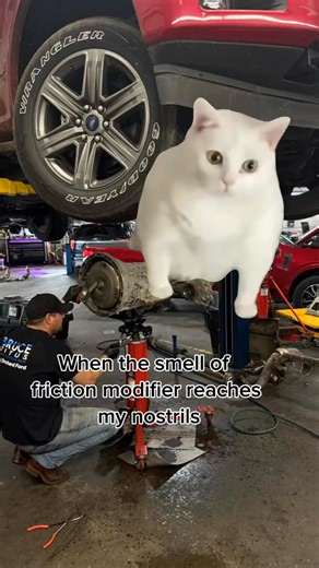 Gonna just pretend it wasn’t me who opened it in the shop and tortured us all  #mechanic #relatable #cars #funny | Port Orchard Ford | Facebook