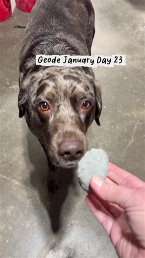 How to Open a Geode with Calcite Inside