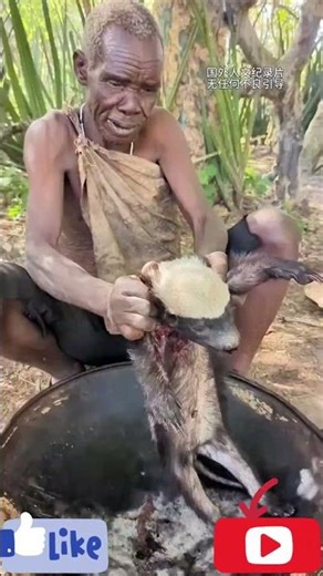 🦁🎸 The Day Chhapa Brought a Wild Leopard for Raja Ji’s Grand Jungle Feast 🍖🔥 | Dangerous Hunt 🌳⚔️