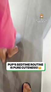 This could be the cutest puppy ever 😍 | Fluffy Animals