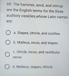 The hammer, anvil, and stirrup are the English terms for the th... | Filo