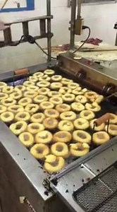 Tennessee Walking Horse National Celebration on Reels