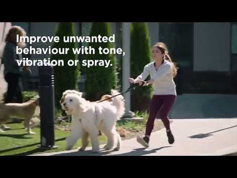 Introducing the PetSafe® Remote Spray Trainer