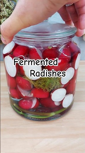 Fermented Radishes 😋