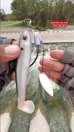 Tips setting Up a Swimbait for bass#fishing#youtubeshorts#viralvideo#shortvideo#viral#shorts#tips
