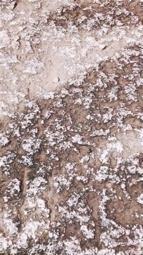 霊夢ちゃん撮影行ってきました〜✨すごい数の鳥居があってド迫力だった😊撮影地許可済み #コスプレ #Cosplay #東方コスプレ #東方projectコスプレ #博麗霊夢コスプレ #博麗霊夢