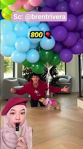 DOGI BERHASIL TERBANG⁉️ brentrivera #shorts #youtubeshorts #mamajay_20