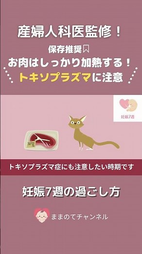 トキソプラズマ症の知識を身につけましょう🧐 #妊婦 #妊娠 #妊娠中 #妊娠7週 #トキソプラズマ