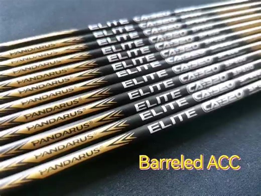 Pandarus Elite CA320 3.2mm ACC  Barreled X10 Arrow Shaft for Archery  Target Arrow Shooting