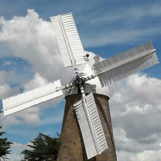 LG QuadWash with TrueSteam Technology