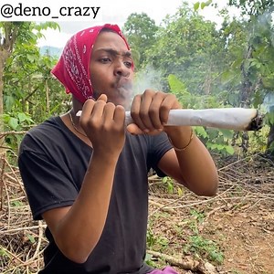 222K views · 6.7K reactions | When u and the weed a chill  kids don’t do drugs #mood #denocrazy #newyear #crazyway @renegadewreckchords @davemusic12 | Deno crazy | Facebook