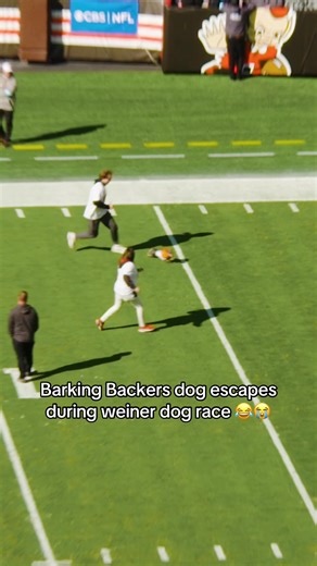 Join Barking Backers for Exclusive Dog Experiences