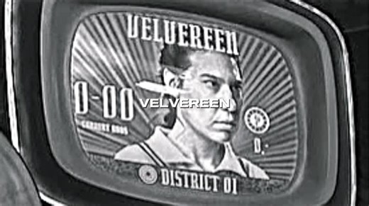 a tribute to every tribute #thehungergames #catchingfire #mockinjay #balladofsongbirdsandsnakes #sunriseonthereaping