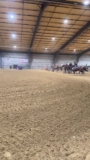 Run #5 on the Puma Cat 🐱 and although we had lots of jockey errors we still brought home 2nd in the 1D 🙏🏽 #barrelhorses #horses #barrelracing Red Hot Barrel Horses | Fallon Taylor