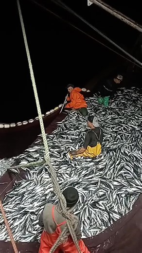 Azdin ⚓️ sur TikTok