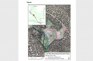Sisters Ranger District plans simulated beaver dams to restore Lower Black Butte Swamp