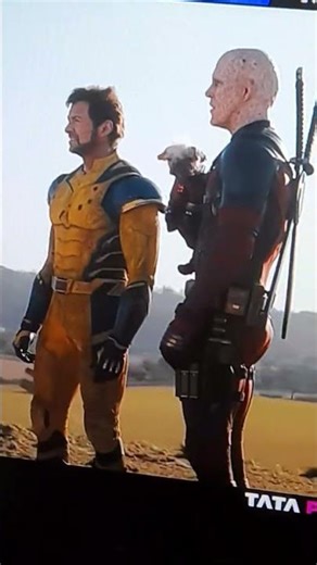 Mix of deadpool dog pool nicepool and wolverine 😎 🆒️ 😎