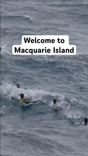 Macquarie Island is one of the cloudiest places on Earth