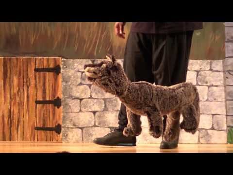 Peter and the Wolf with the Southwest Symphony Orchestra