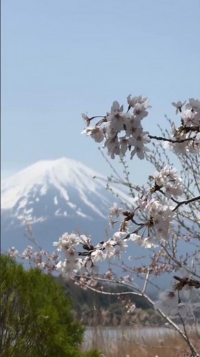 Mount Fuji: Secrets and Curiosities of Japan's Most Iconic Volcano 🌋