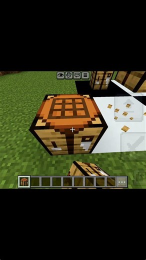 Minecraft Illusion !🫨 #minecraft #viral #shorts